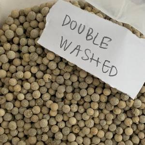 WS + 84359166896 All Grade Fresh MC Powder Pimienta blanca y negra molida Cracked Raw de Vietnam Agrikim Spices FAQ - Product Image 3