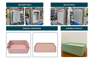 บริการออกแบบและผลิตแม่พิมพ์ฉีดพลาสติกแบบกำหนดเอง BAVIGO สำหรับโครงการ OEM/ODM (รุ่น BVG-DV-000001) - Product Image 4