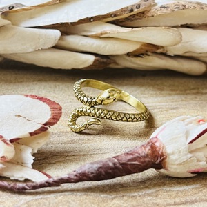 Nouvelle Arrivée Bague Serpent Bohème en Laiton pour Femme, Finition Laiton Antique, Bijou Serpent Punk Tendance, Vente en Gros/OEM/ODM - Product Image 1