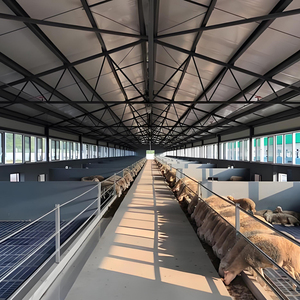 Struttura Prefabbricata in Acciaio Personalizzata per Allevamento Suini, Design di Edifici Agricoli per Bovini, Capre, Mucche, Polli, Cavalli, Stalle - Product Image 4