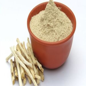 High Quality Shatavari Powder <b>For</b> Hormonal Balance Immunity And Digestive Support Available In Bulk Quantity Export By India - Product Image 2