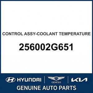 Termostatos y Carcasas Nuevos Optima 256002G651 - Product Image 1