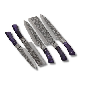 Etched Damascus Steel Kitchen <b>Knife</b> <b>Set</b> 5 Pieces Resin Handle Eco-Friendly Handmade Satin Finish Chef <b>Knife</b> Ornamental - Product Image 1