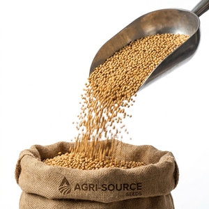 Semillas de Soja de Alta Pureza, Ricas en Proteínas, Cultivo Agrícola para Procesamiento Industrial y Aplicaciones Agrícolas - Product Image 3