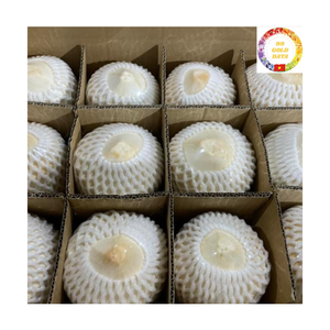 Noix de coco tendre |   Utilisation de boissons fraîches |   Ouverture facile |   Idéal pour les restaurants et complexes hôteliers côtiers |   Vente en gros au Vietnam - Product Image 2