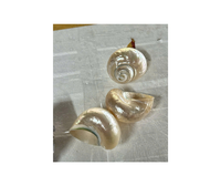 Vietnamien Finest Grande Lune Polie Escargot Coquillages Coquillages Coquille D'escargot Écologique Poli Pétoncle pour Aquarium Décor