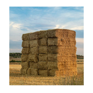 Heno de paja de trigo picado natural, pienso para animales para caballos, ganado, cerdo, disponible para la venta, balas de heno de paja de trigo de alta calidad enriquecidas - Product Image 4