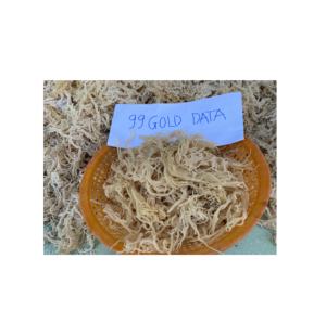 Musgo de mar seco natural de alta calidad/musgo de mar seco de sal musgo de mar Premium de 99 Gold Data Vietnam - Product Image 2