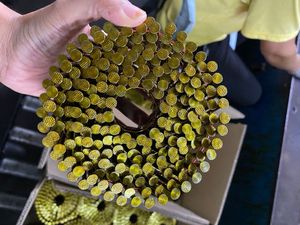 Clavos de bobina de calidad de exportación de Malasia, 75mm, 3 pulgadas para carpintería, anillo de tornillo terminado brillante o electro galvanizado, vástago liso - Product Image 6