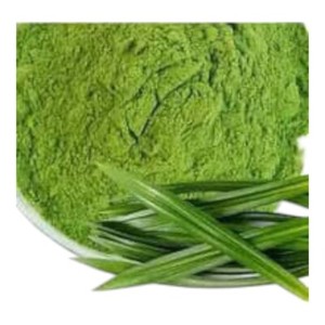 Poudre de pandan pure en gros, approvisionnement en vrac pour desserts et pâtisseries - Product Image 5