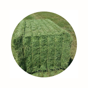 Cheap Top Quality Alfafa Hay for Animal Feeding <b>Stuff</b> Alfalfa ,hay/Timothy hay - Product Image 6