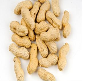 ถั่วลันเตา รสชาติธรรมชาติ ส่งตรงจากประเทศไทย - Product Image 2