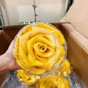 มะม่วงอบแห้งเนื้อนุ่ม ขนมผลไม้พรีเมียม ไม่มีสีสังเคราะห์ ไม่มีสารกันบูด รสหวานธรรมชาติ อร่อย ดีต่อสุขภาพ - Product Image 5