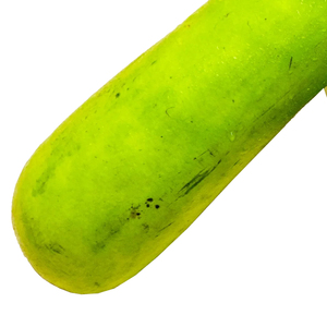 Calebasse verte de qualité, légume frais récolté pour la vente en gros, l'épicerie, la restauration, la cuisine et la préparation de jus - Product Image 4
