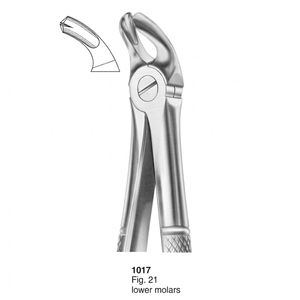 คีมถอนฟัน รุ่น Fig. ฟันกรามล่าง 21 ซี่ (แบบอังกฤษ) |   สแตนเลสเกรดพรีเมียม - Product Image 3