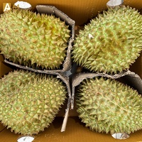 Thailand Original Taste Importeurs Verse Thaise Durian Monthong 100% Pure Zoete Romige Smaak 500g 14 Dagen Houdbaarheid Diepvries A4