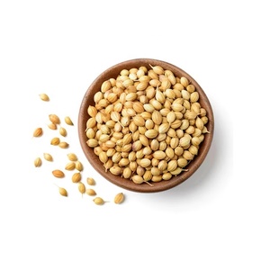 Semillas de cilantro al por mayor, especias naturales a granel, nuevas cosechas para condimentar alimentos - Product Image 3