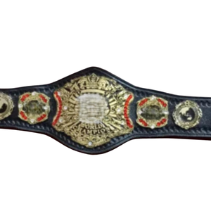 Ceinture de championnat premium, ceinture de lutte personnalisée, édition collector de haute qualité, designs or et noir - Product Image 2