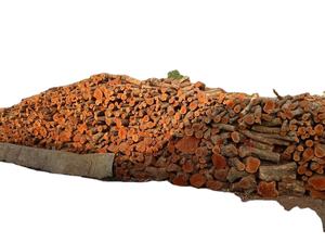 ชุดเชื้อเพลิงบาร์บีคิวพรีเมียมจากผู้ผลิตเวียดนาม ประกอบด้วยไม้ลิ้นจี่และลำไยอบแห้ง และถ่านอะคาเซีย - Product Image 5