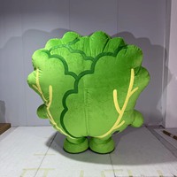 Costume de Mascotte Gonflable Légume de Dessin Animé Baige, Tenue de Personnage Ambulant pour Événements Promotionnels Alimentaires