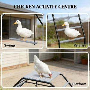 Pollaio Usato per Cortile e Fattoria con Design Durevole a Struttura Rampicante - Product Image 3