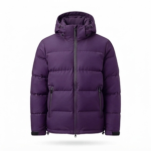 Chaqueta de Invierno con Capucha para Hombre, Impermeable, Gruesa y Cálida, Rellena 100% de Poliéster, 220g, Parka, Ropa de Abrigo Informal para Exteriores - Product Image 2