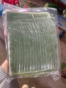 Feuilles de banane congelées de qualité supérieure, vertes et tropicales, pour l'emballage alimentaire traditionnel – Vente en gros mondiale de feuilles de banane congelées - Product Image 6