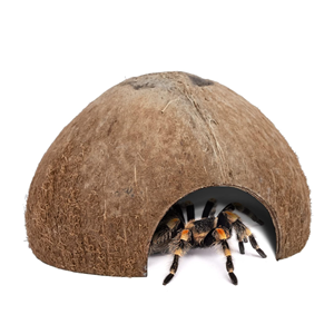 ที่หลบซ่อนสำหรับสัตว์เลื้อยคลานจากกะลามะพร้าว ราคาดีที่สุด, ถ้ำสำหรับกิ้งก่า แมงมุม ปลาในตู้ปลา, บ้านสัตว์เลี้ยงขนาดเล็กที่เป็นมิตรกับสิ่งแวดล้อม จากโรงงานเวียดนาม - Product Image 5