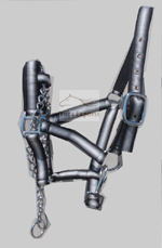 Licou cheval en NYLON PP, couleur double tons, entièrement réglable - Product Image 3