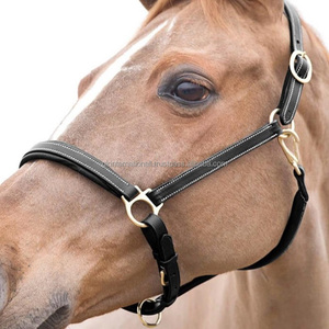 Accessoires personnalisés pour chevaux licou d'équitation fait à la main rembourrage de vache extra doux et coutures contrastées durables licou en cuir pour chevaux - Product Image 6