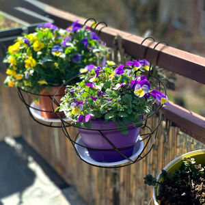 Black Iron Flower Pot Railing <b>Basket</b> Holder with Dual <b>Hanging</b> Hooks Open <b>Wire</b> Support for Balcony Garden Patio Window Indoor - Product Image 2