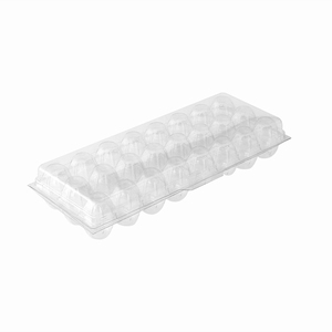 Vente directe d'usine, plateau en PET pour 24 œufs de <span class=keywords><strong>caille</strong></span>, boîte à œufs en plastique durable pour œufs de <span class=keywords><strong>caille</strong></span>/pigeon <span class=keywords><strong>jumbo</strong></span> - Product Image 3