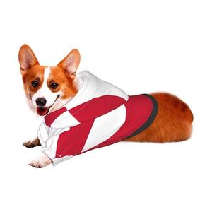 Vêtements pour chiens de style designer de luxe, sweats à capuche doux pour chiots, veste chaude pour animaux de compagnie pour l'hiver - Product Image 1