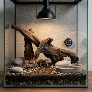 Niche pour reptiles antique en bois de rose (bois de Java) massif, motif naturel, écologique, pour usage intérieur et extérieur, cage pour reptiles - Product Image 6
