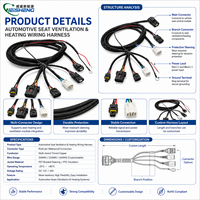 Arnés de Cableado Electrónico para Ventilación y Calefacción de Asientos de Auto Weisheng ISO9001, 18AWG, Reemplazo OEM, IP67