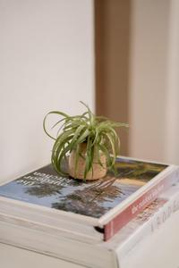 Mini vase en céramique glacée au caramel chaud, forme arrondie compacte, finition durable et accent contemporain pour les intérieurs modernes - Product Image 5