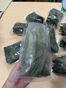 Low Price 100% Pure Dried Soursop Leaves Vietnam Loose Leaf for Bulk Wholesale - Product Image 6