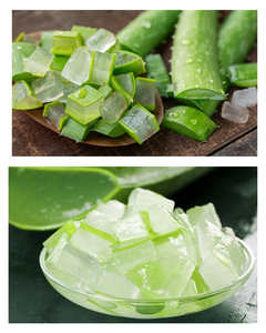 HIGH-QUALITY, PURE FRESH ALOE VERA, WHOLESALE, IN SYRUP FORM WITH PULP, FOR JUICING, <b>DICED</b> - Product Image 6