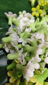 Flores de Cowslip Creeper Dok Kajorn Hechas a Mano y Personalizadas, Flores de Arcilla Tailandesa de Alta Calidad, Estilo Botánico Real, Decoración para Bodas y Festividades - Product Image 2