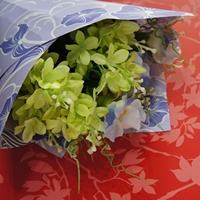 Papier synthétique recyclable non toxique, de qualité alimentaire, enduit d'un côté de résine vierge mate, imperméable, pour emballage floral, vente en gros