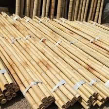Supply In Bulk Splitted <b>Bamboo</b> Pole <b>For</b> Making <b>Kite</b> <b>Bamboo</b> Splot <b>Bamboo</b> Slants From Vietnam - Product Image 3