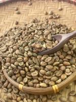 Fourniture en gros de grains de café Robusta Origine du Vietnam Spécialité Qualité Bon prix pour le commerce international Quantité en vrac
