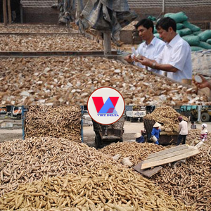 Polvo de Pulpa de Yuca Seca, Alto Contenido de Almidón, Residuo de Tapioca para Alimentación de Cerdos, Aves y Pollos, Reemplazo de Maíz, Bolsa de 50 kg - Product Image 3