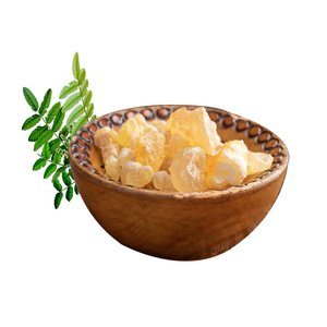 Extracto Natural de Boswellia Serrata en Polvo, Ingrediente Herbal de Alta Pureza, Suministro al por Mayor para Exportación - Product Image 3