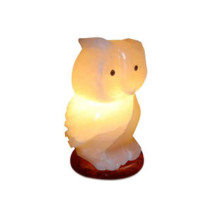 Lámpara de Cristal de Sal Rosa del Himalaya de Alta Calidad al por Mayor, con Forma de Animal Personalizada, Hecha a Mano, Tacto Real, Nueva, Eléctrica, Artesanía Natural - Product Image 1