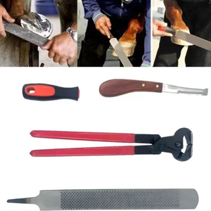 Kit de 4 outils de coupe de sabots réutilisables pour équitation, pinces à sabots, instruments chirurgicaux, ensemble d'outils de toilettage pour bétail - Product Image 3