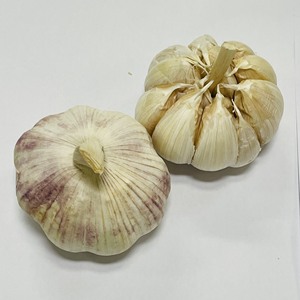 กระเทียมสดเวียดนาม lehsun/Bawang putih/ ninniku-พร้อมสำหรับการส่งออก (วา84 + 36 680 8683) - Product Image 2