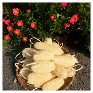 Vietnam Dried Luffa Fiber Shower Sponge for Bath <b>Scrub</b> Bathroom Cleaning Hotel Use and Wholesale Export Supply - Product Image 1