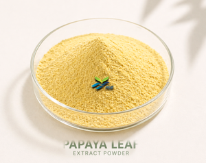 Suministro Directo de Fábrica HGO de Extracto Puro y Natural de Hoja de Papaya en Polvo (Grado Alimenticio) ER-10:1 (Polifenoles 3% y Glicósidos 40%) - Product Image 1