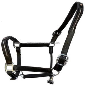 Classic Custom Design Double <b>Stitching</b> & Padding Genuine Leather Horse Halter with Solid Adjustable Brass Hardware & Fittings - Product Image 4